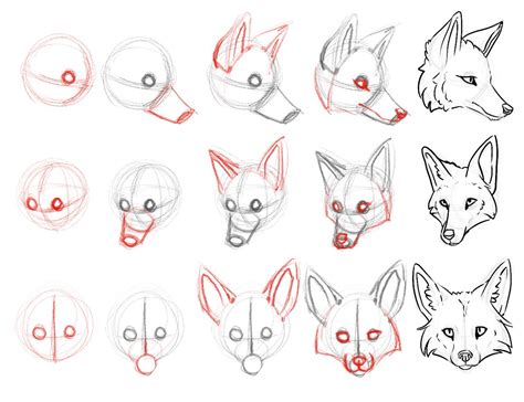 How To Draw A Fox Head