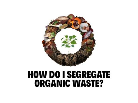 How Do I Segregate Organic Waste - ECEPL