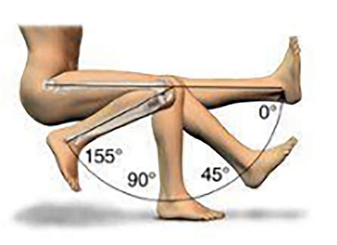 Knee Flexion And Extension Goniometry at Frances Leonard blog