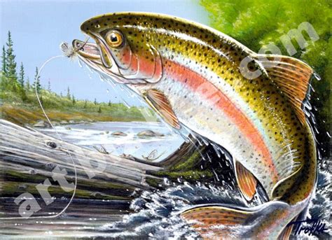 Rainbow Trout Jumping Painting at PaintingValley.com | Explore ...