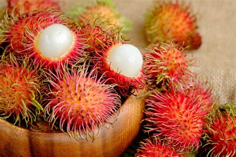 All about the rambutan fruit - hospitality | Magazine