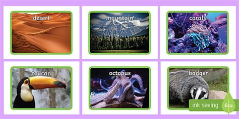 Animals Habitats Pictures Display - Primary Resources