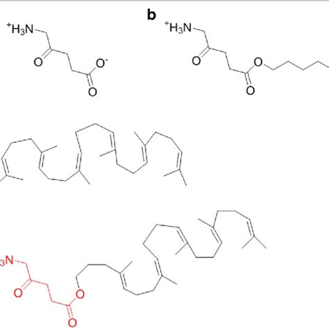 Chemical structures of NA building block elements. 5-ALA (a), 5-ALA-Hex ...