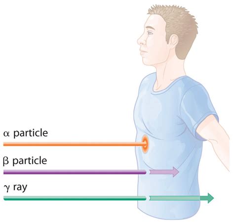 Chapter 24.3: The Interaction of Nuclear Radiation with Matter ...