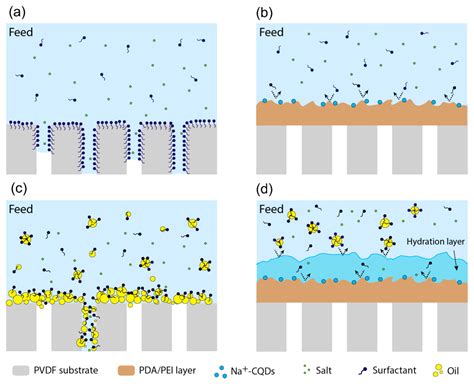 Membranes | Free Full-Text | Recent Advances in Dopamine-Based Membrane ...