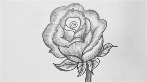 Easy Drawing Of Rose Flower / These should form a shape similar to a ...