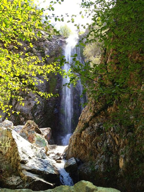 South Ridge Trail - Hiking - Idyllwild-Pine Cove, CA - Reviews - Photos ...