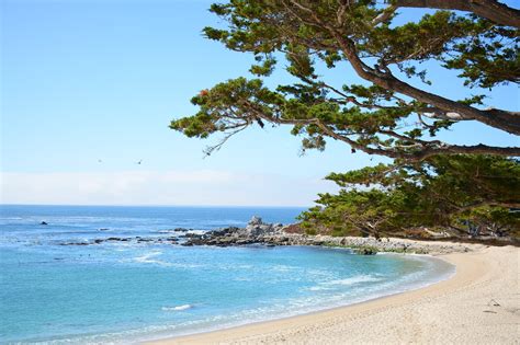 10 Best Things to Do with Kids in Monterey - Fun Places in Monterey to ...