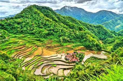 Las terrazas de arroz en la isla de Luzón, Filipinas — Mi Viaje