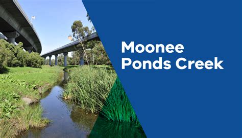 Moonee Ponds Creek - VPA