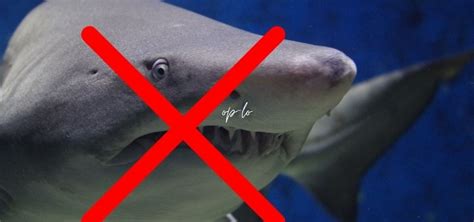 Stop loan sharks campaign - Thamesbank Credit Union