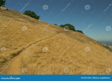 Mount Tamalpais stock photo. Image of outdoor, pacific - 5327340