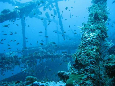 Diving Puerto Galera (Philippines)