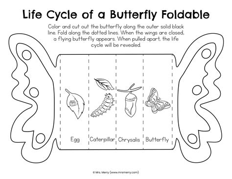 Butterfly Life Cycle Coloring Pages For Kids