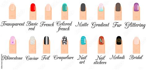 Manicure types. Nail design, nail art vector set. Trendy manicure ...