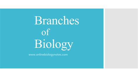 Branches of Biology - Online Biology Notes