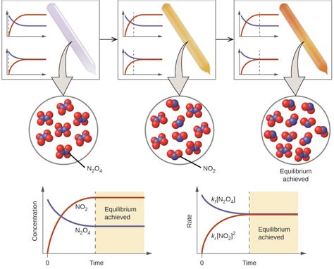 Chemical Equilibria | General Chemistry