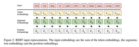 python - What are the inputs to the transformer encoder and decoder in ...