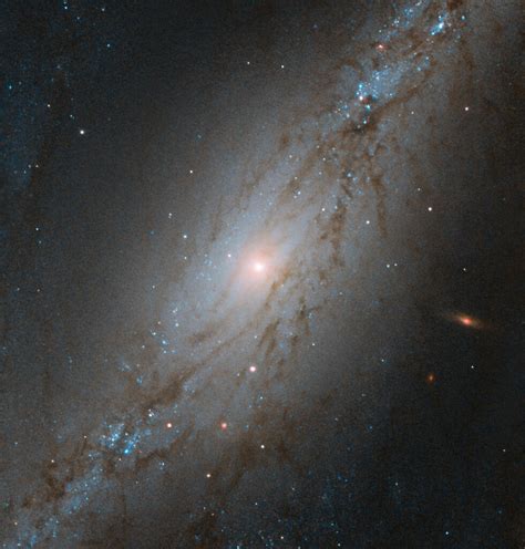 Hubble Snaps Image of Barred Spiral Galaxy NGC 7513 | Sci.News