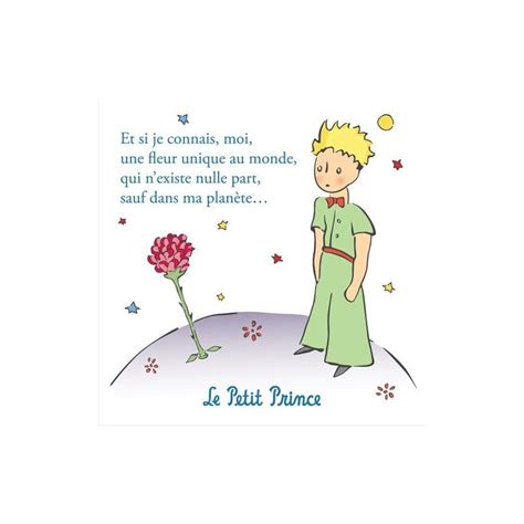 Little Prince Rose Quote - ShortQuotes.cc