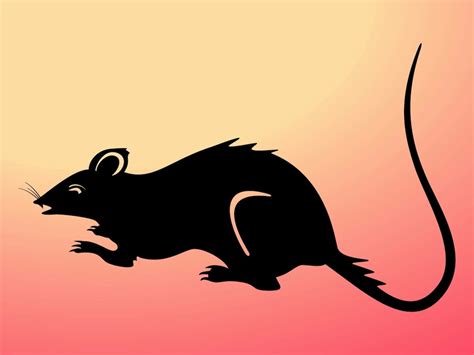 Rat Silhouette Vector Art & Graphics | freevector.com