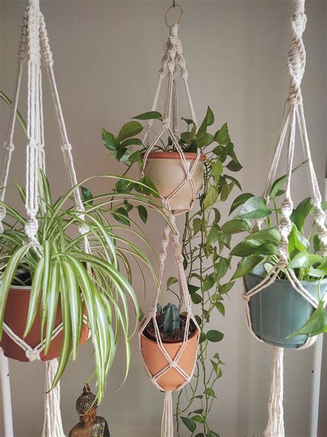 Macrame Boho Plant Hangers - Etsy