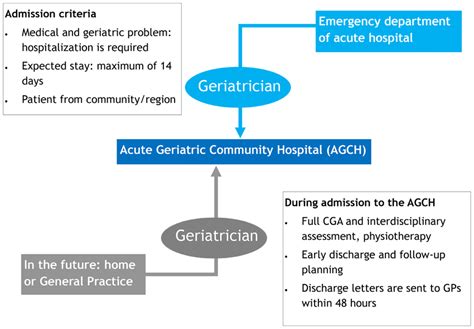 Patient admission process and criteria, components of the AGCH ...