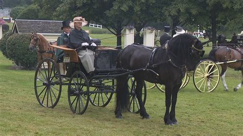 Carriage driving competition draws riders from across U.S. | WHAM