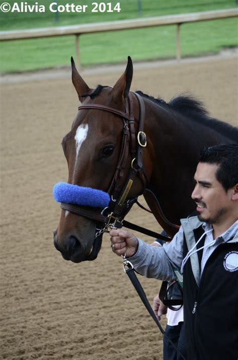 Happy Retirement JoJo Warrior - The Final strides