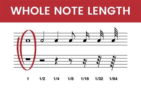 how many beats is a whole note? (Answer Might Surprise You!)