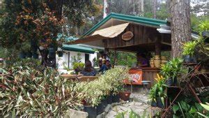 Panagbenga Park - باجيو: Working hours, Activities, Visitor reviews ...