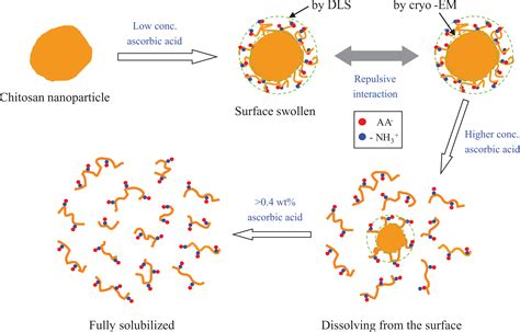 Dispersion of chitosan nanoparticles stable over a wide pH range by ...