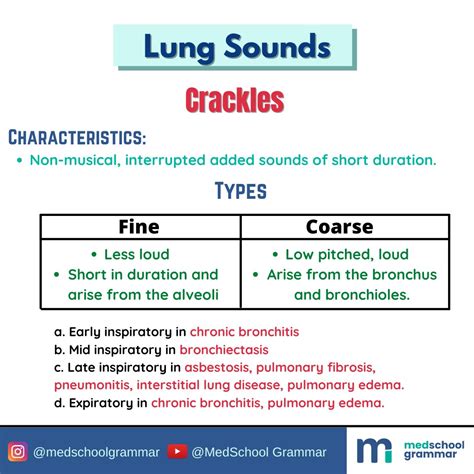 NPHub Academy The Three Most Common Abnormal Lung Sounds, 59% OFF