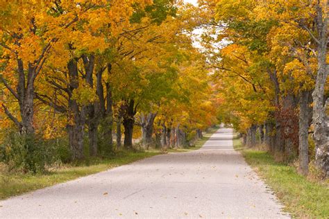 The Best Fall Foliage Drives and Train Rides in Michigan