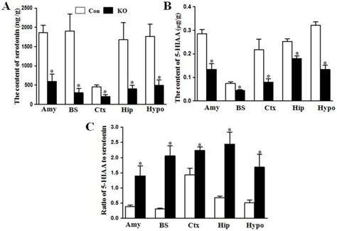 The levels of serotonin (A) and its metabolite 5-HIAA (B) were examined ...