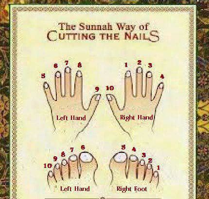 ISLAMIC QUOTATIONS: Sunnah Way of Cutting the Nails