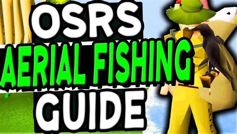 OSRS Ariel Fishing Guide - Best OSRS Guides