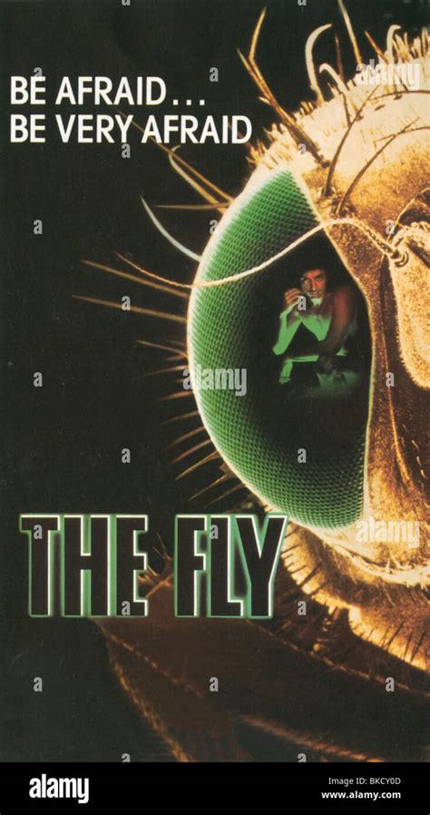 THE FLY -1986 POSTER Stock Photo - Alamy