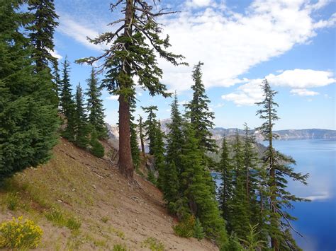 Mazama Crater Lake Campground