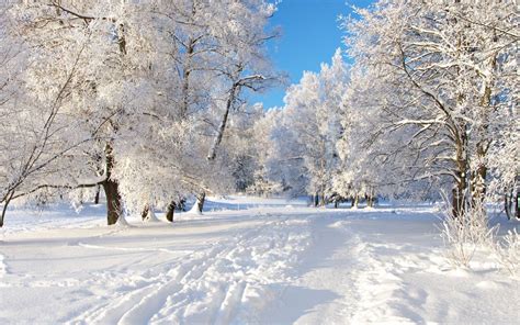 Winter Snow Background (50+ pictures) - WallpaperSet