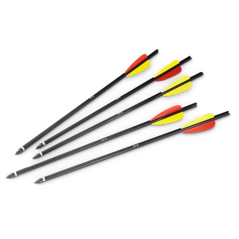 Bows - 16'' Crossbow Bolts **Pack of 5 Bolts** was sold for R95.00 on ...