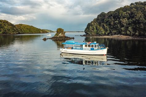 ulva-island-ferry-and-stewart-island-tours-feature-1 | Must Do New Zealand