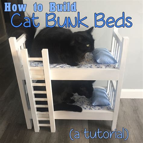 Runs for Cookies: How To Build Cat Bunk Beds (or Doll Bunk Beds)