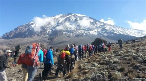 Marangu Route - Mount Kilimanjaro National Park