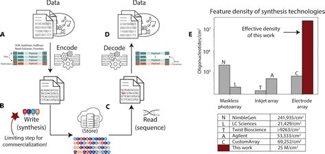 Storing information in DNA: Improving DNA storage with nanoscale ...