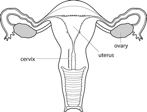 Menopause : Menopause after hysterectomy