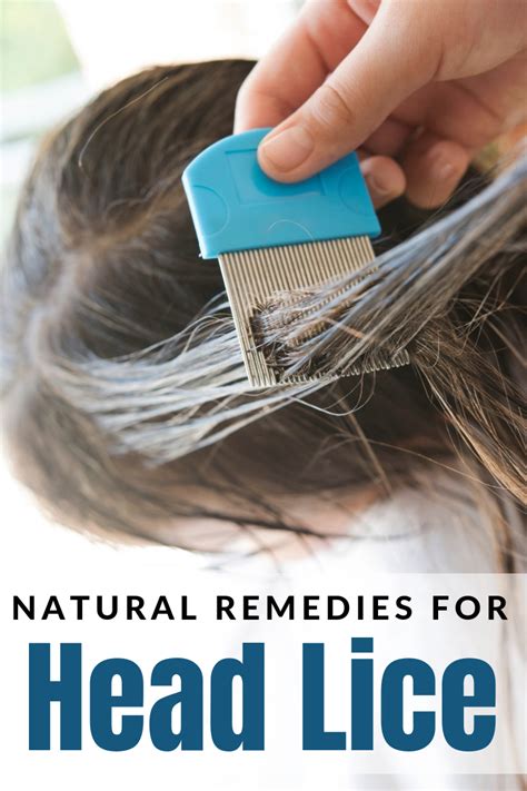 Natural Remedies for Head Lice | The CentsAble Shoppin