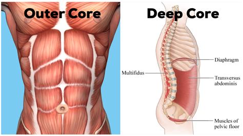 Train Your Core and Get Abs | Blog | Ready Room Health