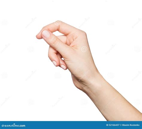 Woman S Hand Holding Something Stock Image - Image of assistance, blank ...