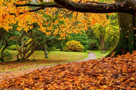 Stourhead in autumn - PentaxForums.com